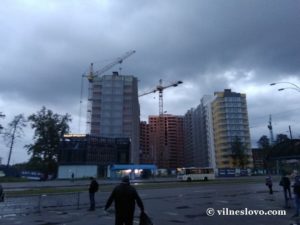 От мертвого осла уши