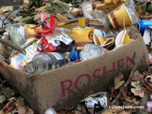 Використання альтернативних видів палива