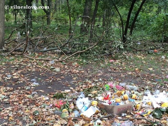 Україна в полоні сміття: про обсяги побутових відходів