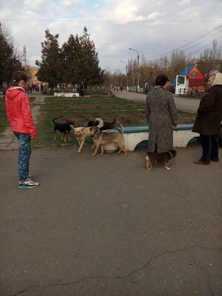 Парк Юність у Миколаєві