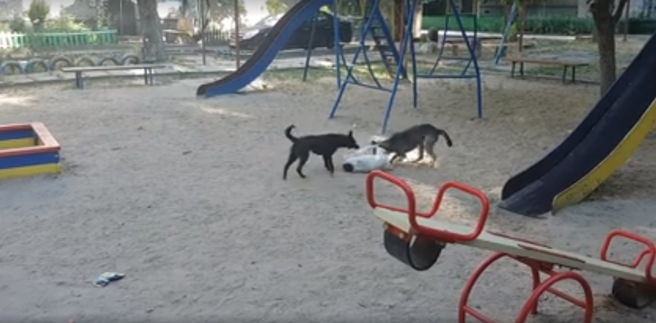 Цена пляски на костях