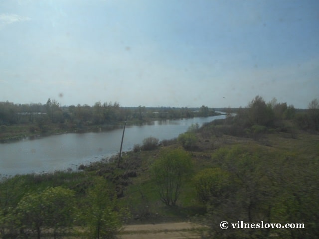 Річка Прип'ять
