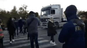 Ціна “порятунку” овечок – три кримінальних провадження