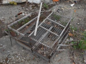 Ломая границы, или Как выйти из зоны «дозволенного» либо «не дозволенного»