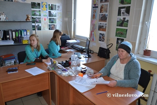 Опыт Харькова и КП «ЦОЖ» в решении проблемы бездомных животных