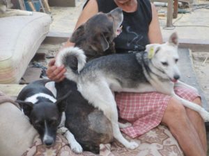 Филиал зоосекты в Кривом Роге