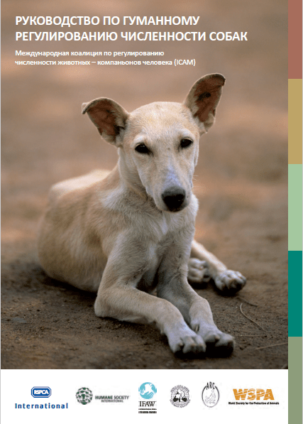 Руководство по гуманному регулированию численности собак ICAM