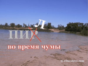 «Пил» во время чумы