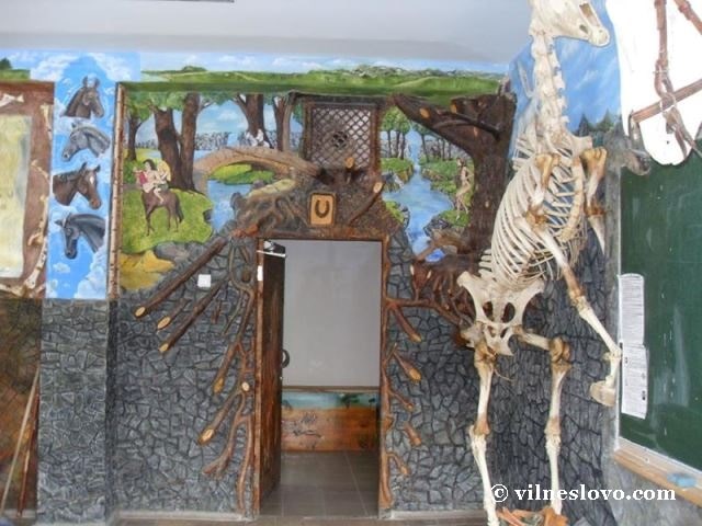 Музей анатомії тварин, зала з експонатами