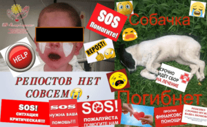 Віртуальні жебраки в Інтернеті