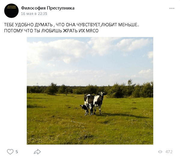 Корова може любити