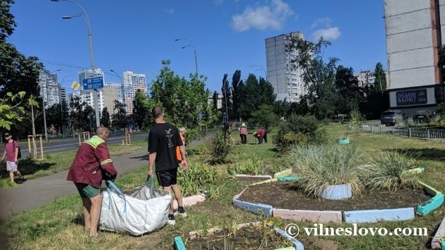 Громадські роботи