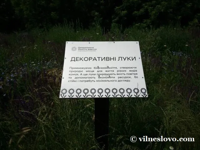 Декоративні луки