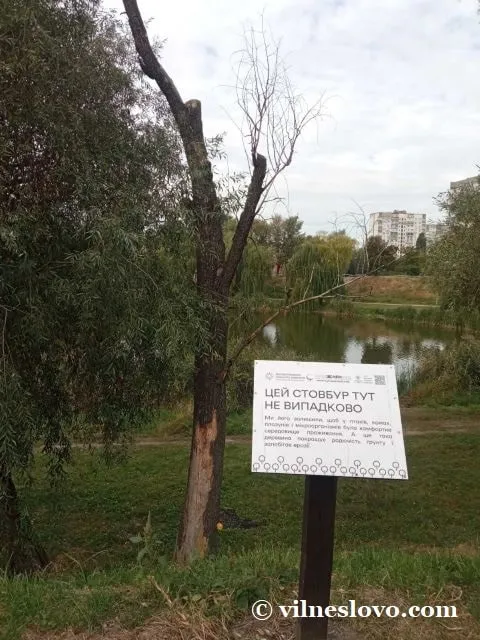 Стовбур дерева